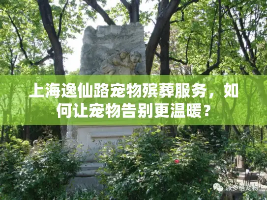 上海逸仙路宠物殡葬服务，如何让宠物告别更温暖？