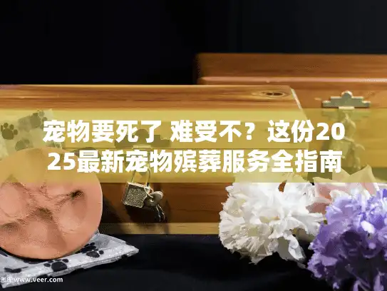 宠物要死了 难受不？这份2025最新宠物殡葬服务全指南助您解忧