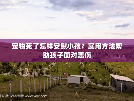 宠物死了怎样安慰小孩？实用方法帮助孩子面对悲伤