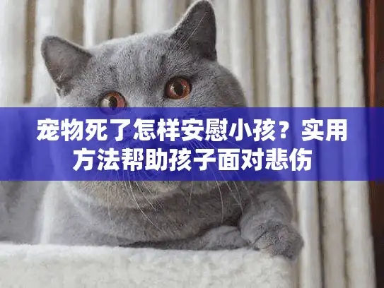 宠物死了怎样安慰小孩？实用方法帮助孩子面对悲伤