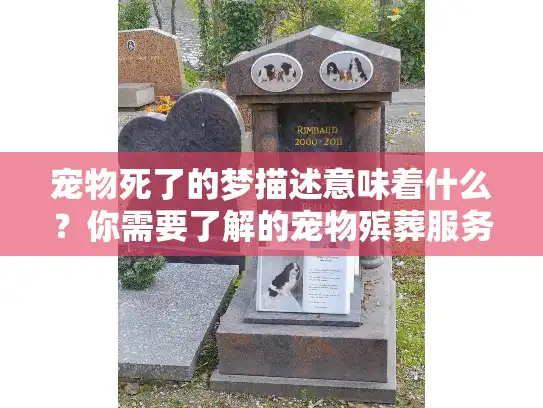 宠物死了的梦描述意味着什么？你需要了解的宠物殡葬服务指南