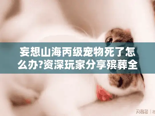 妄想山海丙级宠物死了怎么办?资深玩家分享殡葬全攻略