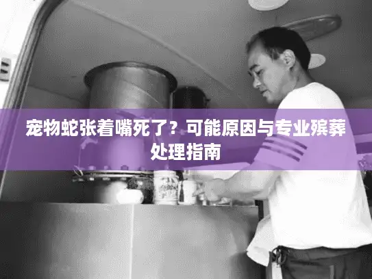 宠物蛇张着嘴死了？可能原因与专业殡葬处理指南