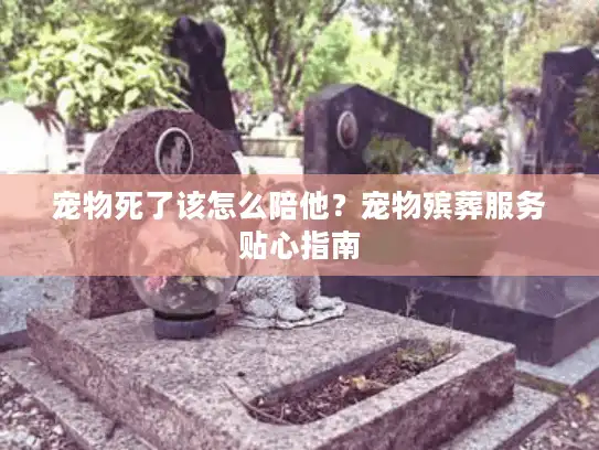 宠物死了该怎么陪他？宠物殡葬服务贴心指南
