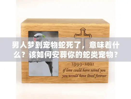 男人梦到宠物蛇死了，意味着什么？该如何安葬你的蛇类宠物？