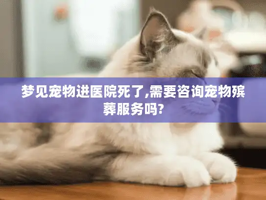 梦见宠物进医院死了,需要咨询宠物殡葬服务吗?