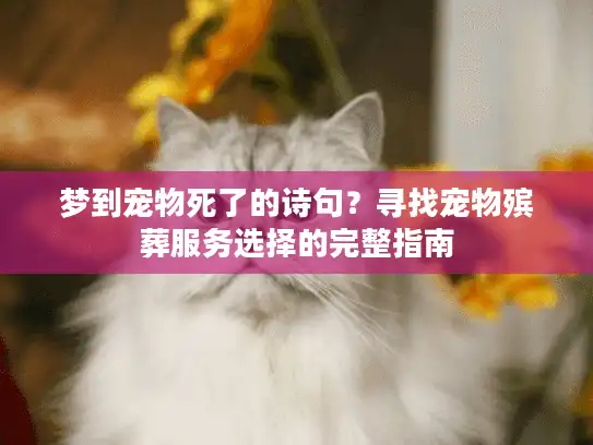 梦到宠物死了的诗句？寻找宠物殡葬服务选择的完整指南