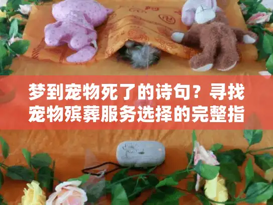 梦到宠物死了的诗句？寻找宠物殡葬服务选择的完整指南