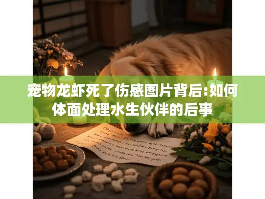 宠物龙虾死了伤感图片背后:如何体面处理水生伙伴的后事