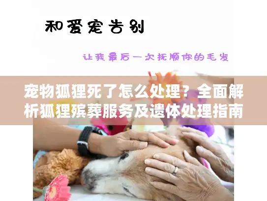 宠物狐狸死了怎么处理？全面解析狐狸殡葬服务及遗体处理指南