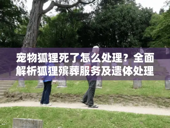 宠物狐狸死了怎么处理？全面解析狐狸殡葬服务及遗体处理指南