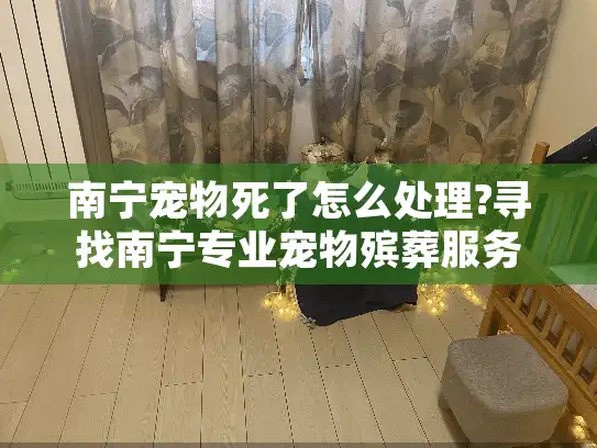 南宁宠物死了怎么处理?寻找南宁专业宠物殡葬服务的贴心指南