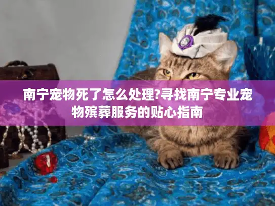 南宁宠物死了怎么处理?寻找南宁专业宠物殡葬服务的贴心指南