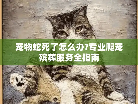 宠物蛇死了怎么办?专业爬宠殡葬服务全指南