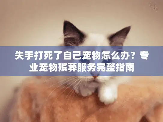 失手打死了自己宠物怎么办？专业宠物殡葬服务完整指南