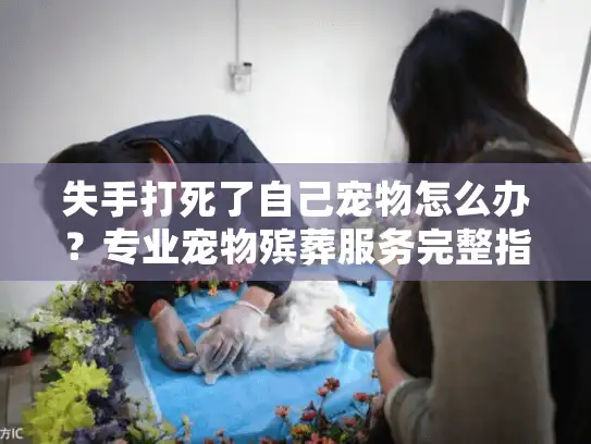 失手打死了自己宠物怎么办？专业宠物殡葬服务完整指南