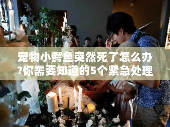 宠物小鳄鱼突然死了怎么办?你需要知道的5个紧急处理与殡葬指南