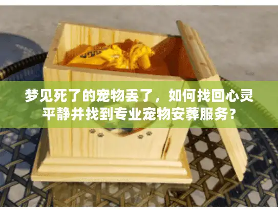 梦见死了的宠物丢了，如何找回心灵平静并找到专业宠物安葬服务？