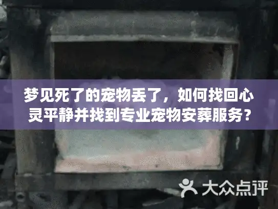 梦见死了的宠物丢了，如何找回心灵平静并找到专业宠物安葬服务？