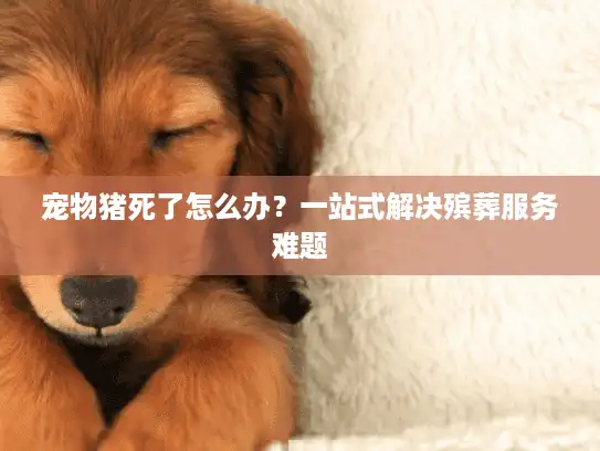宠物猪死了怎么办？一站式解决殡葬服务难题