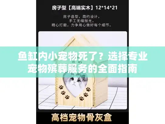 鱼缸内小宠物死了？选择专业宠物殡葬服务的全面指南