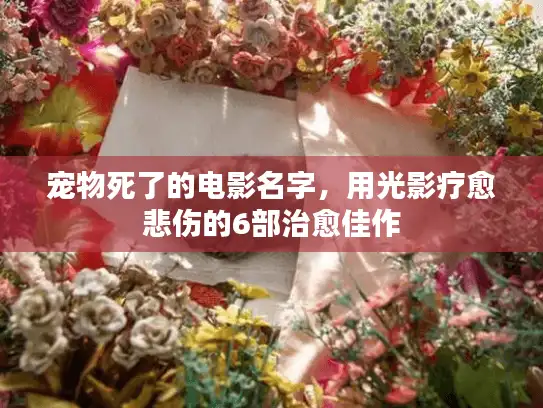 宠物死了的电影名字，用光影疗愈悲伤的6部治愈佳作