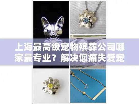 上海最高级宠物殡葬公司哪家最专业？解决您痛失爱宠后的情感困境