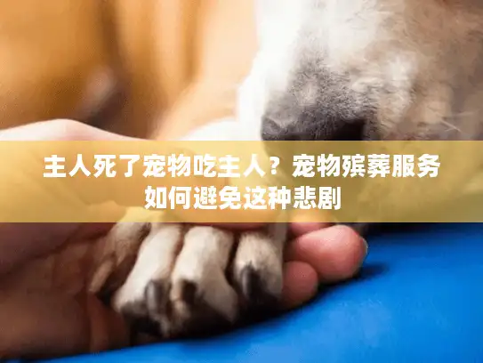 主人死了宠物吃主人？宠物殡葬服务如何避免这种悲剧