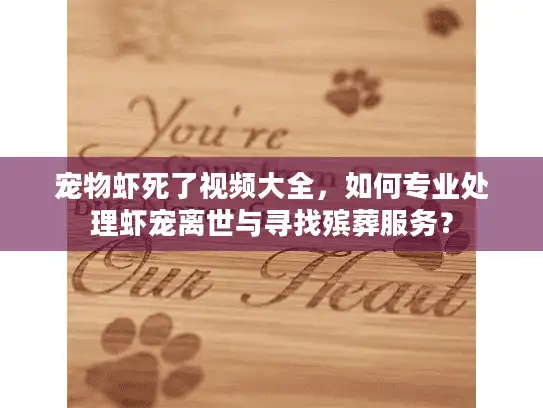 宠物虾死了视频大全，如何专业处理虾宠离世与寻找殡葬服务？