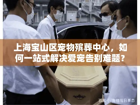 上海宝山区宠物殡葬中心，如何一站式解决爱宠告别难题？