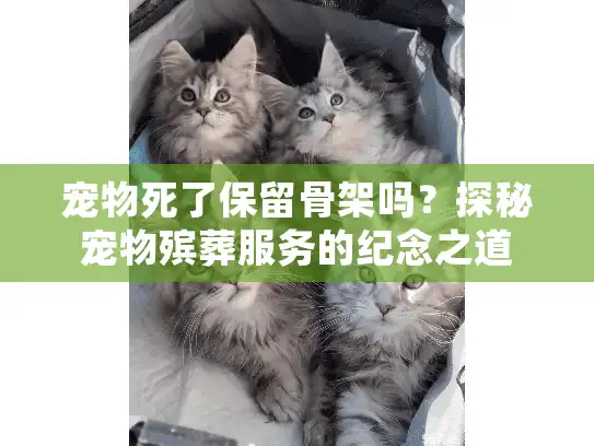 宠物死了保留骨架吗？探秘宠物殡葬服务的纪念之道