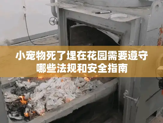 小宠物死了埋在花园需要遵守哪些法规和安全指南