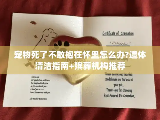 宠物死了不敢抱在怀里怎么办?遗体清洁指南+殡葬机构推荐