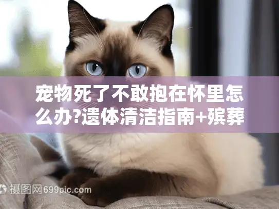 宠物死了不敢抱在怀里怎么办?遗体清洁指南+殡葬机构推荐