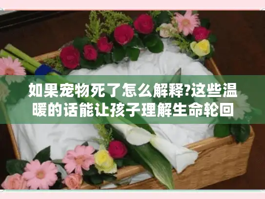 如果宠物死了怎么解释?这些温暖的话能让孩子理解生命轮回