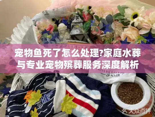 宠物鱼死了怎么处理?家庭水葬与专业宠物殡葬服务深度解析