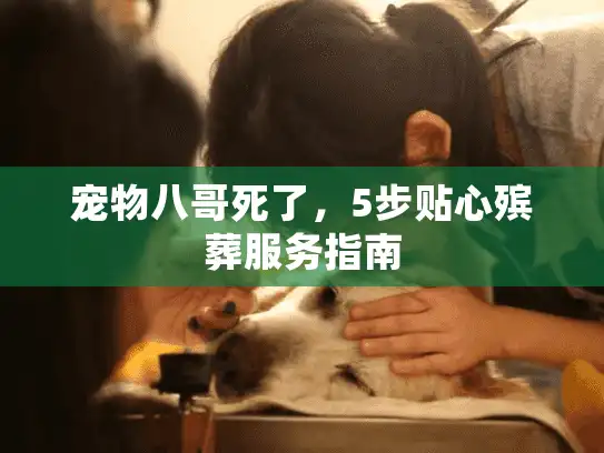 宠物八哥死了，5步贴心殡葬服务指南