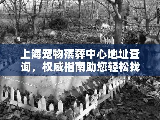 上海宠物殡葬中心地址查询，权威指南助您轻松找到服务点？