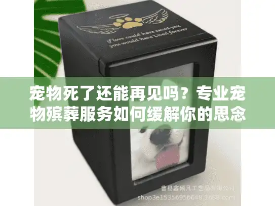 宠物死了还能再见吗？专业宠物殡葬服务如何缓解你的思念伤痛？