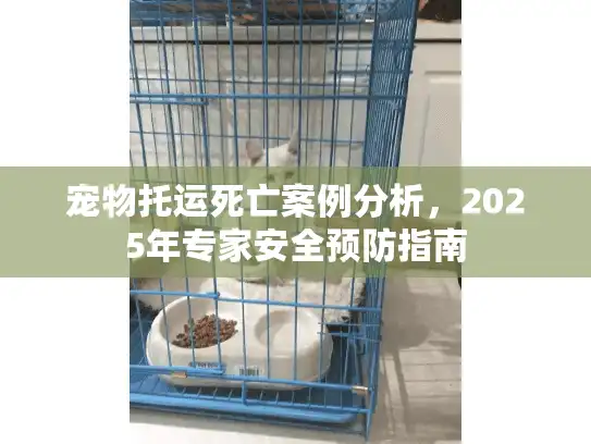宠物托运死亡案例分析，2025年专家安全预防指南