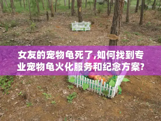 女友的宠物龟死了,如何找到专业宠物龟火化服务和纪念方案?
