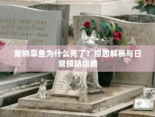 宠物草鱼为什么死了？原因解析与日常预防指南