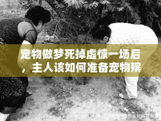 宠物做梦死掉虚惊一场后，主人该如何准备宠物殡葬服务？