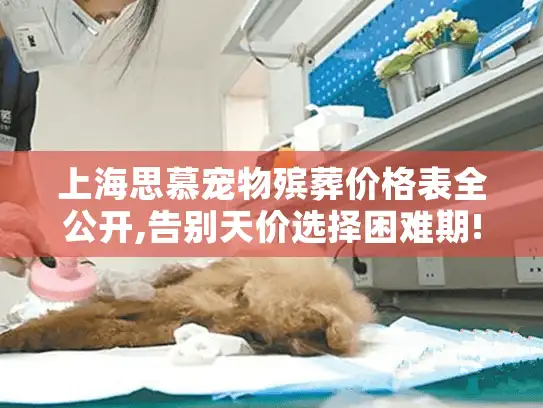 上海思慕宠物殡葬价格表全公开,告别天价选择困难期!