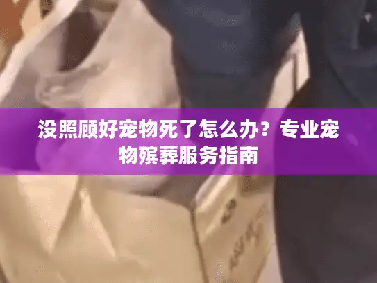 没照顾好宠物死了怎么办？专业宠物殡葬服务指南