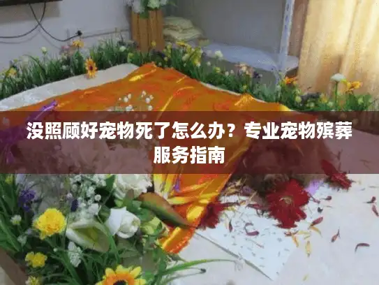 没照顾好宠物死了怎么办？专业宠物殡葬服务指南