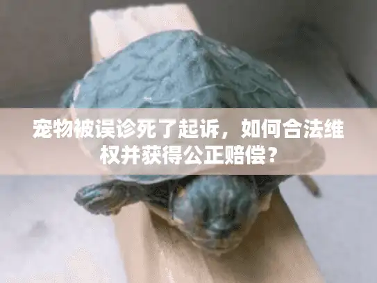 宠物被误诊死了起诉，如何合法维权并获得公正赔偿？