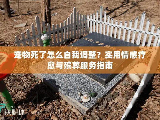 宠物死了怎么自我调整？实用情感疗愈与殡葬服务指南