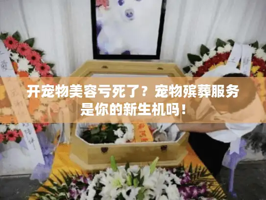 开宠物美容亏死了？宠物殡葬服务是你的新生机吗！
