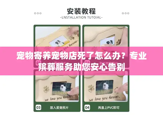 宠物寄养宠物店死了怎么办？专业殡葬服务助您安心告别